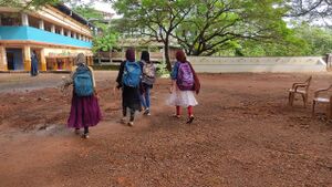 BS21 MLP 48253 6.jpg