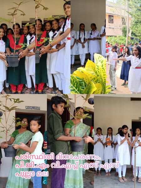 പ്രമാണം:EnvironmentDay2025-1.jpeg