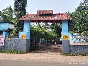 IMG 20240805 092326.jpg