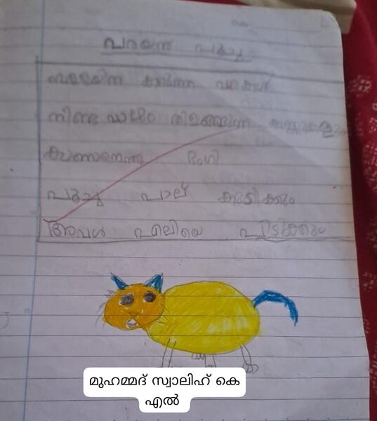 പ്രമാണം:Muhammed salih.jpg