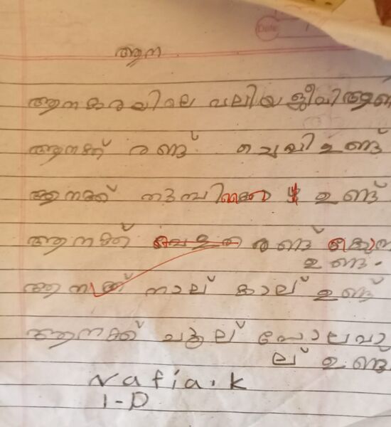 പ്രമാണം:18624-MLP-KUNJ -NAFIA .jpg