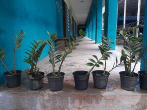 20220129 153607.resized.jpg