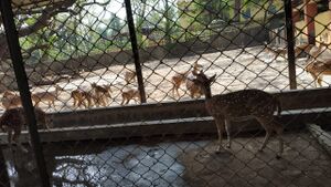 21302-tour2019 43.jpg