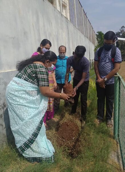 പ്രമാണം:22048 nature.jpg