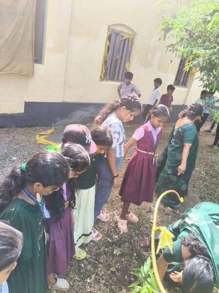 പ്രമാണം:22266 EnvironmentaldayJune05 2025.jpg