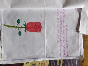 22446-TSR -AABIYA.jpg