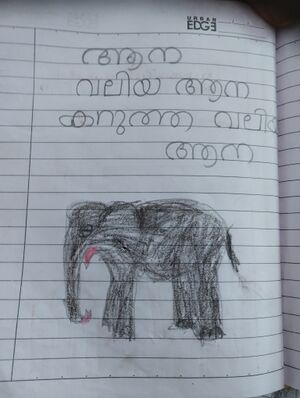 31541-KTM-KUNJ-SHERVIN NIJO.1.jpg