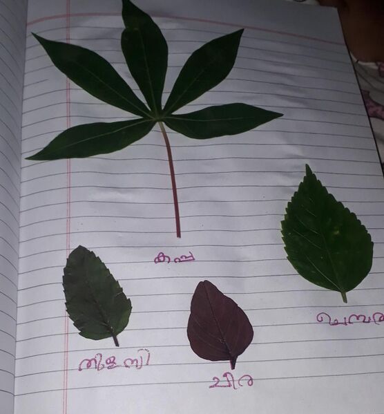 പ്രമാണം:35219 91.jpeg