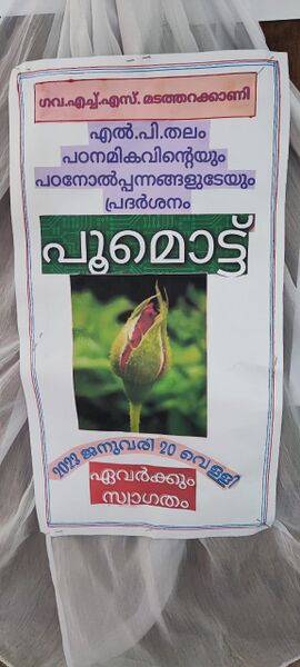 പ്രമാണം:42030-bud.jpg