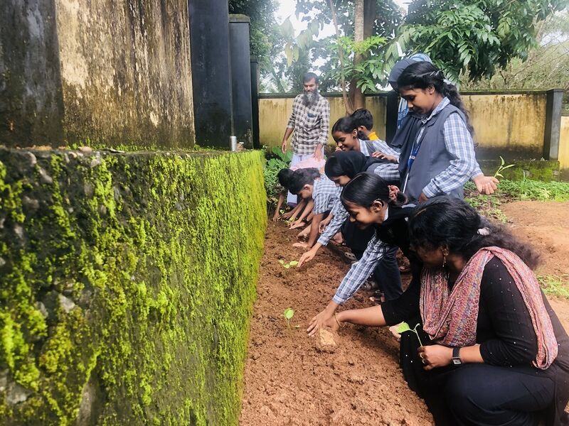 പ്രമാണം:48570 nirayepachapp.jpg