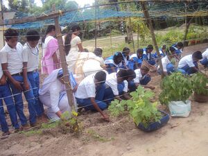 Krishimuttam 15 35052 (2).JPG