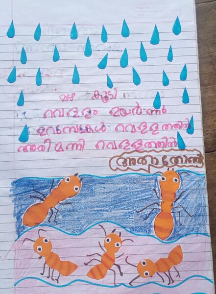 പ്രമാണം:VASUDEV RAJEEV.jpg