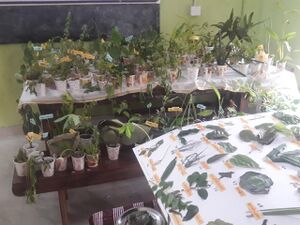 WhatsApp Image 2022-03-13 at 11.53.05 PM(2).jpeg