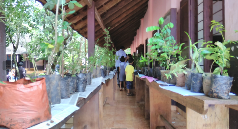 പ്രമാണം:12070-oushada chedi3.png