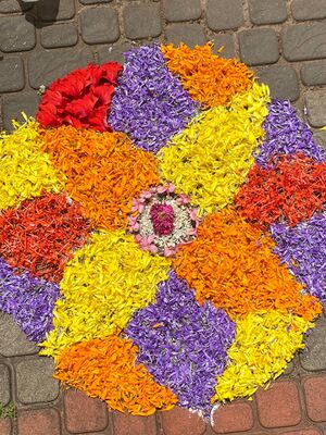 13620-KNR-PLPS-ONAM9.jpeg