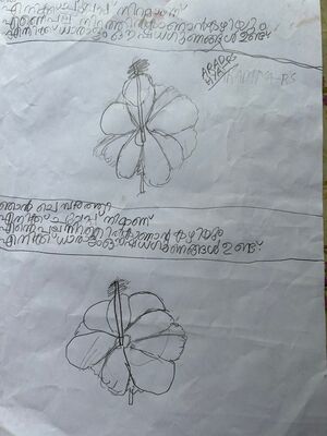 14820-KNR-KUNJ-ARADYA R. S.jpg