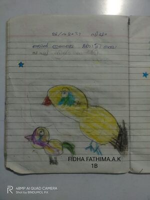 19077-MLP-KUNJ-FIDHA FATHIMA A K (1B).jpeg