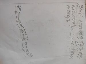 22071-TSR-KUNJ-ADIL T R.jpg