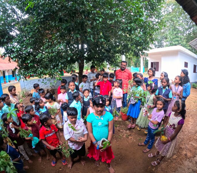 പ്രമാണം:31262-valavoor -tree 2.jpg