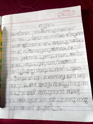 33319-ktm-kujja-Anamika Dineesh.jpeg