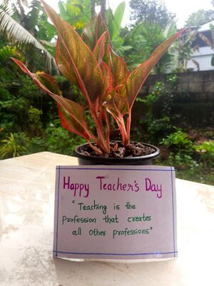 36037 teachers day 2 .jpeg