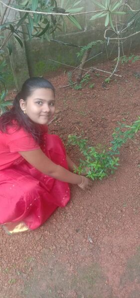 പ്രമാണം:44018 e1.jpg