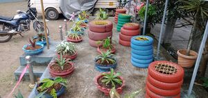 47045-tyre seat 21.jpeg