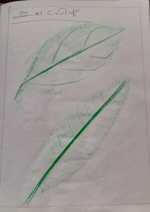 50025-KTM-KUNJ-DEVDEVU 2.jpg