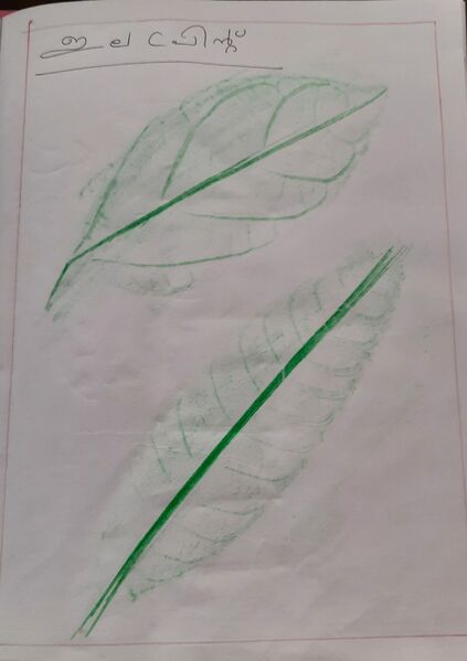 പ്രമാണം:50025-KTM-KUNJ-DEVDEVU 2.jpg