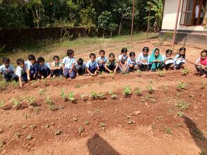 Agricultre programme.jpg