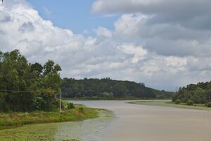 Karamana River 1.jpg