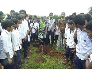 12060 2018 182.resized.JPG