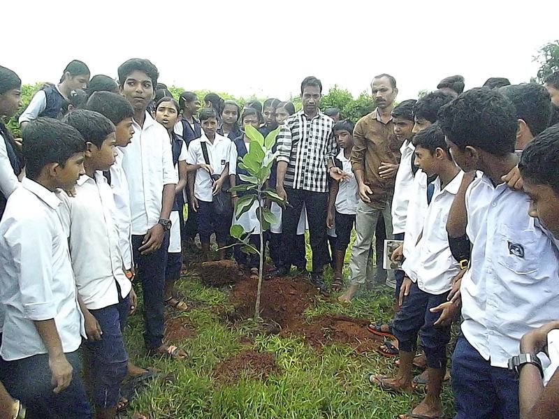 പ്രമാണം:12060 2018 182.resized.JPG