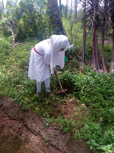 പ്രമാണം:13055 612.jpeg