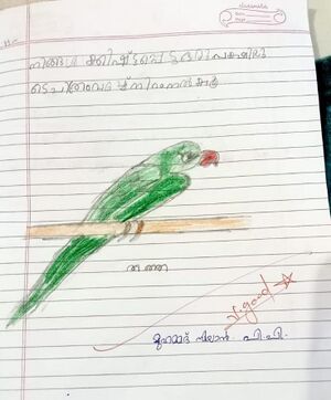 13110-KNR-KUNJ-MUHAMMED SIYAN P P.jpeg