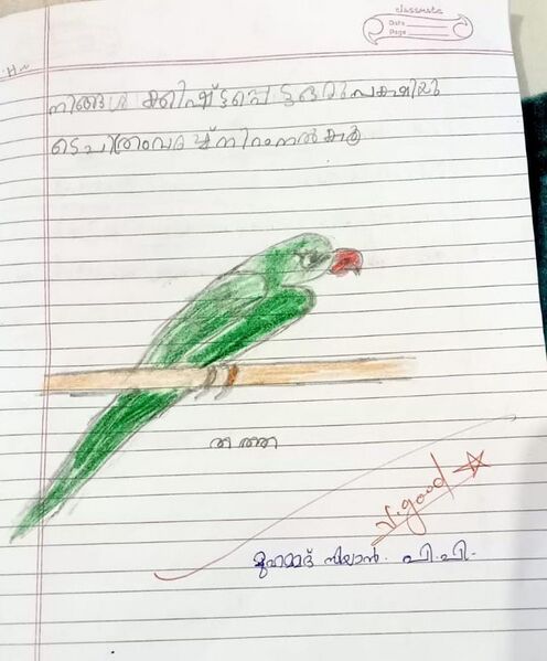 പ്രമാണം:13110-KNR-KUNJ-MUHAMMED SIYAN P P.jpeg