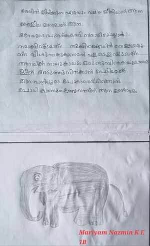 13379-KNR-KUNJ-MARIYAM NAZMIN K E.jpg