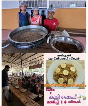 13748-KUTTI SHEF.jpeg