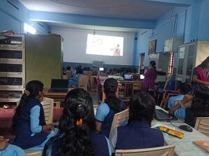 15019 littlekites1.jpg