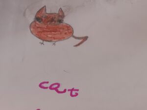 15316-WYD-KUNJ-MUHAMMED SHAMIL.jpg