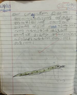 17234-KKD-AYAN T.jpg