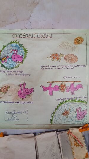 18743 IMG20170222123844.jpg