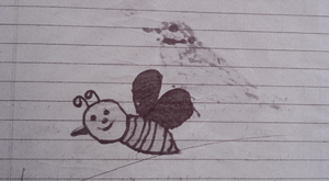 19865-MLP-KUNJ-SHAZFA IE.png