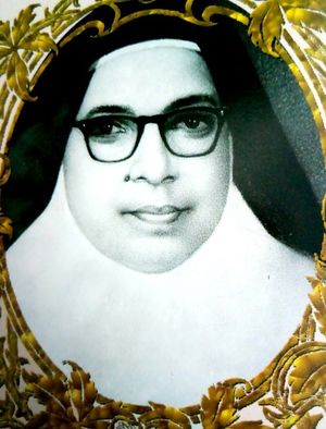 33025 sr virginia1..jpg