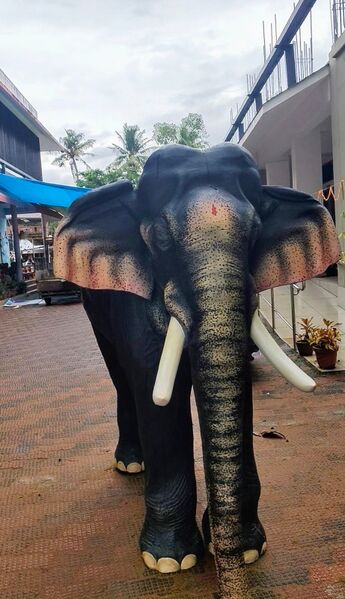 പ്രമാണം:43351 2025-26(50).jpg