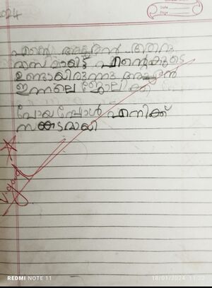 46017-ALP-KUNJ-SOURAV B.jpg