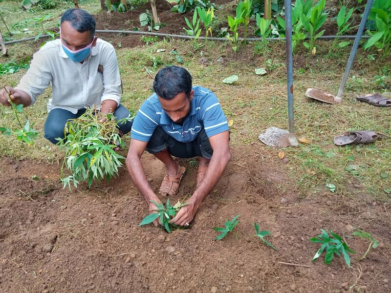 പ്രമാണം:47045-KARSHAKA DINAM 5.jpg