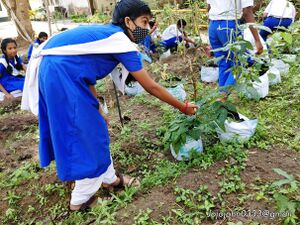 Adukkalathottam 35052 22 (3).jpg