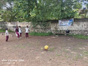 IMG 20260619 144342-min.jpg