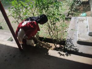 Malinya muktha keralam 4.jpeg